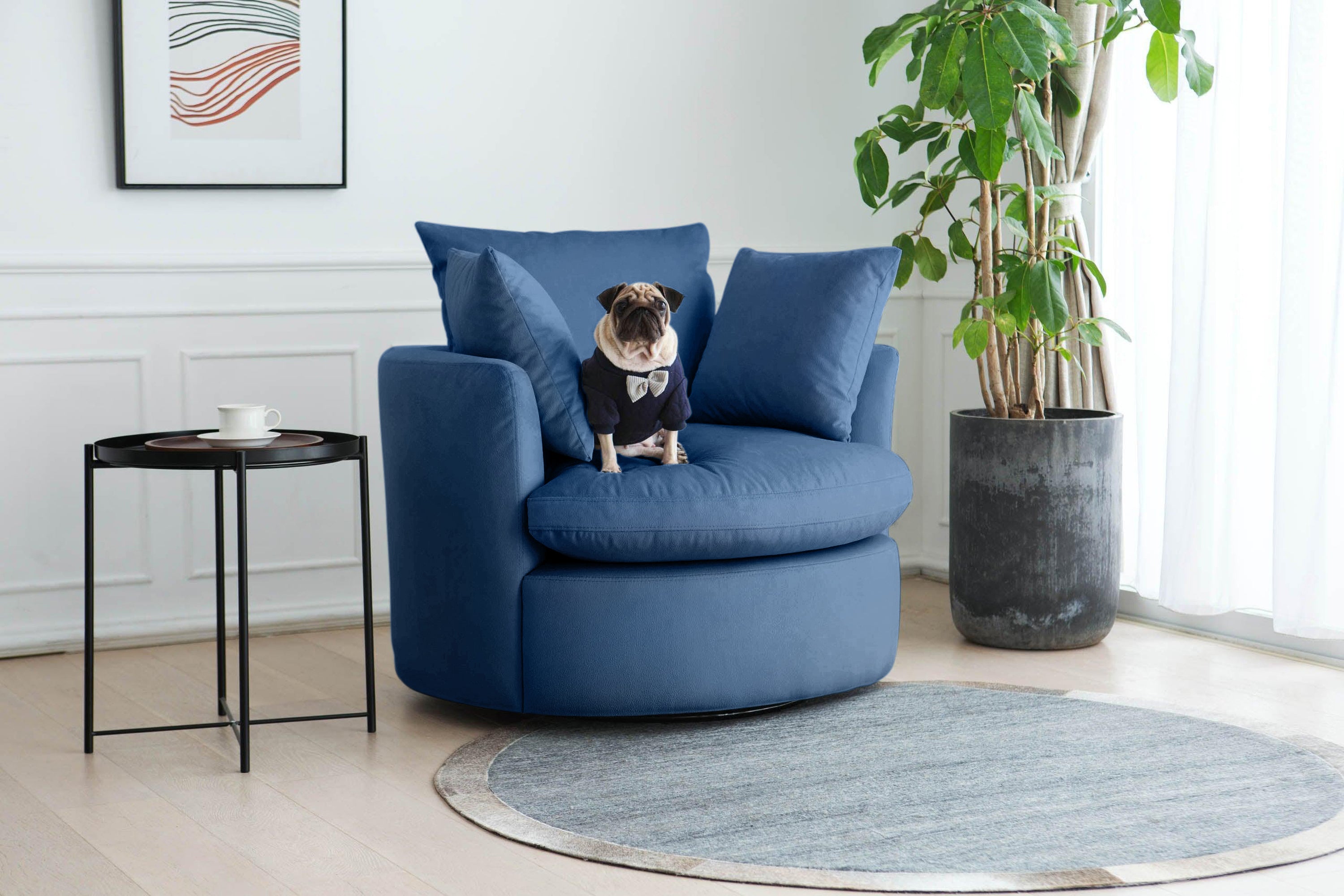 Dog chairs outlet and sofas